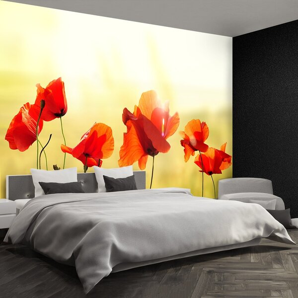 Fototapeta Vliesová Mak 250x104 cm