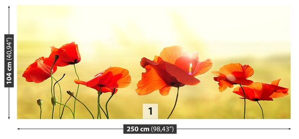 Fototapeta Vliesová Mak 250x104 cm