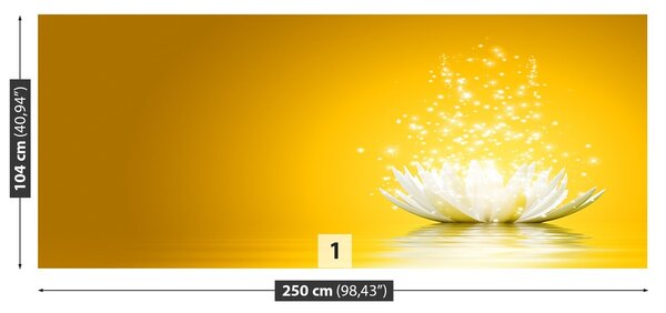 Fototapeta Vliesová Lotosový kvet 250x104 cm