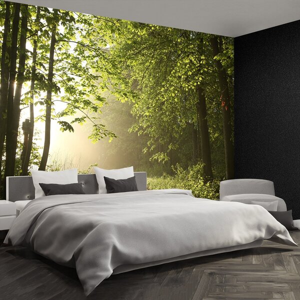Fototapeta Vliesová Lesná cesta 250x104 cm
