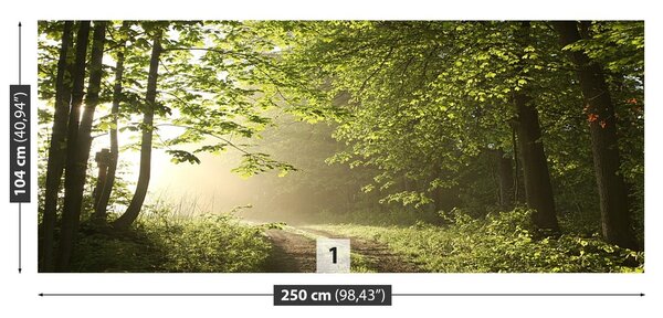 Fototapeta Vliesová Lesná cesta 250x104 cm