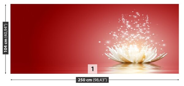 Fototapeta Vliesová Lotosový kvet 250x104 cm