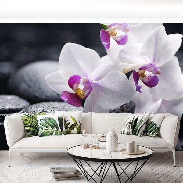 Fototapeta Vliesová Orchidea 250x104 cm