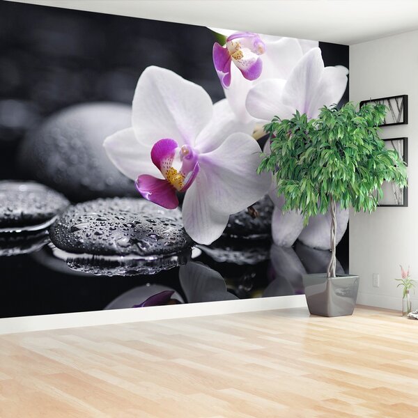 Fototapeta Vliesová Orchidea 250x104 cm