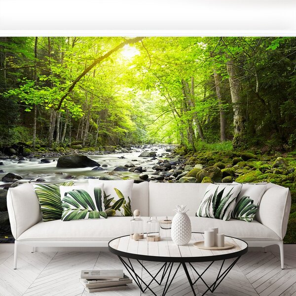 Fototapeta Vliesová Horská rieka 152x104 cm