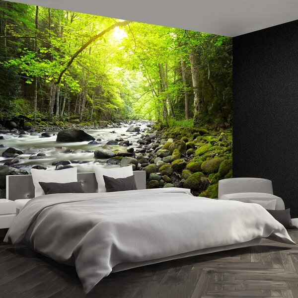 Fototapeta Vliesová Horská rieka 152x104 cm