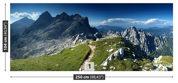 Fototapeta Vliesová Alpy slovinsko 250x104 cm