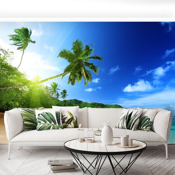 Fototapeta Vliesová Pláž na seychelách 250x104 cm