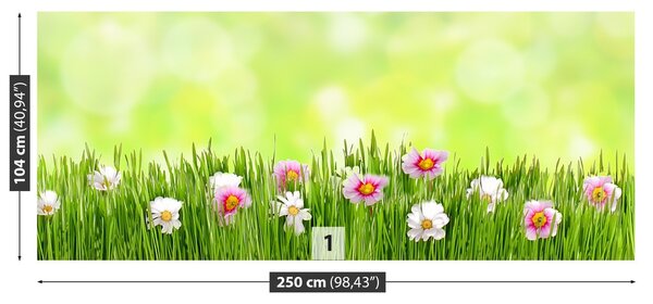 Fototapeta Vliesová Tráva kvety 250x104 cm