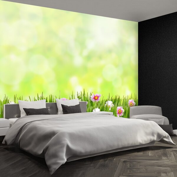 Fototapeta Vliesová Tráva kvety 250x104 cm