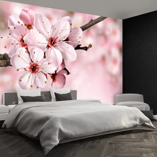 Fototapeta Vliesová Ružový kvet 250x104 cm