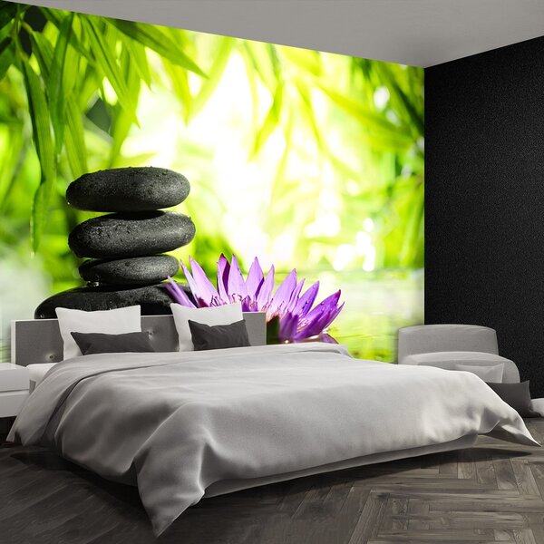 Fototapeta Vliesová Lotos a zen kameň 250x104 cm