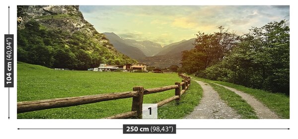 Fototapeta Vliesová Švajčiarske alpy 250x104 cm