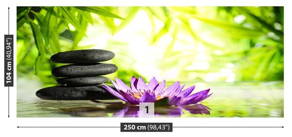 Fototapeta Vliesová Lotos a zen kameň 250x104 cm