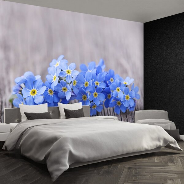 Fototapeta Vliesová Nezábudky 250x104 cm