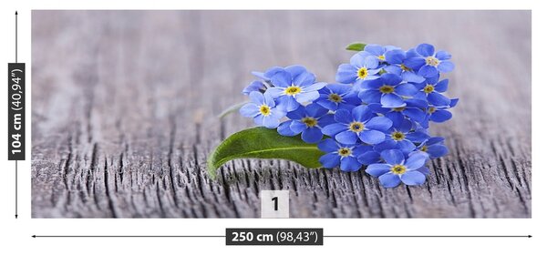 Fototapeta Vliesová Nezábudky 250x104 cm