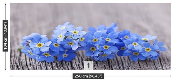 Fototapeta Vliesová Nezábudky 250x104 cm