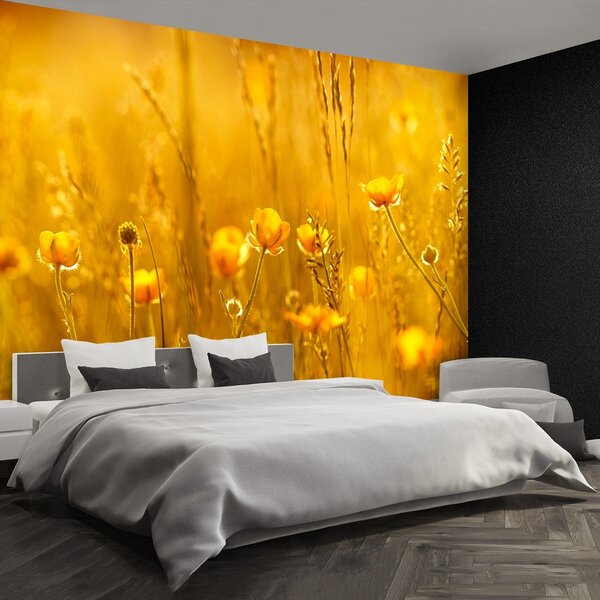 Fototapeta Vliesová Lúčne kvety 250x104 cm