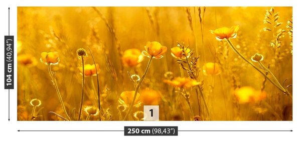 Fototapeta Vliesová Lúčne kvety 250x104 cm
