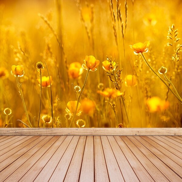 Fototapeta Vliesová Lúčne kvety 250x104 cm