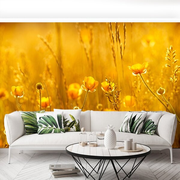 Fototapeta Vliesová Lúčne kvety 250x104 cm