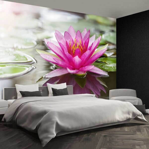Fototapeta Vliesová Ružový lotos 250x104 cm