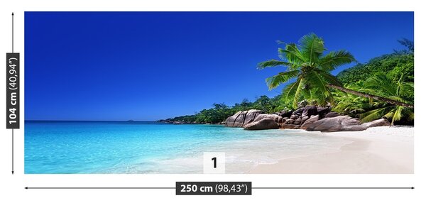 Fototapeta Vliesová Seychelská pláž 250x104 cm