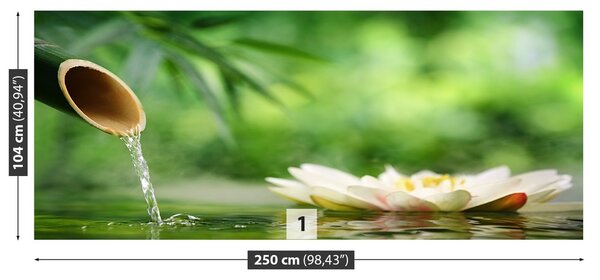 Fototapeta Vliesová Bambusová fontána 250x104 cm