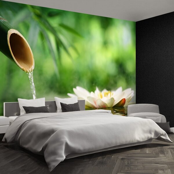 Fototapeta Vliesová Bambusová fontána 250x104 cm
