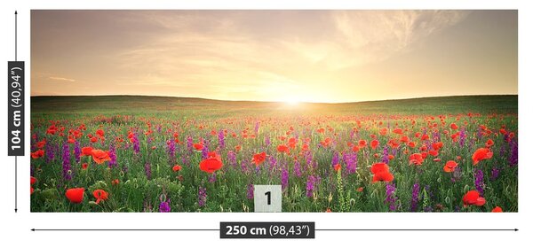 Fototapeta Vliesová Lúka maku 250x104 cm