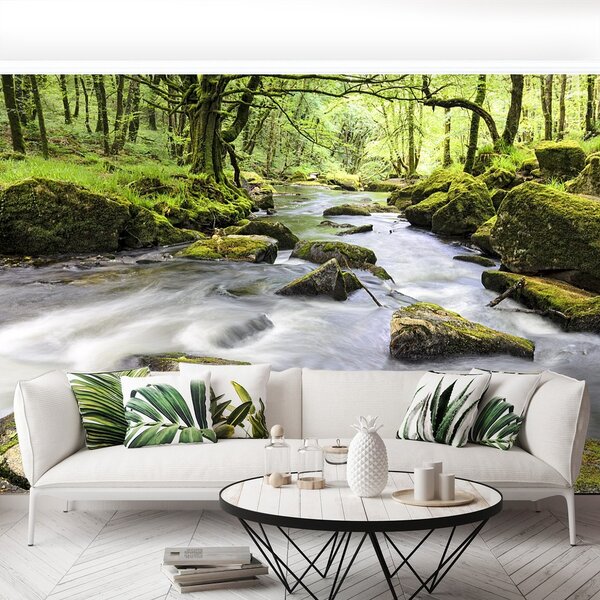 Fototapeta Vliesová Rieka fowey 250x104 cm