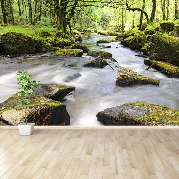 Fototapeta Vliesová Rieka fowey 250x104 cm