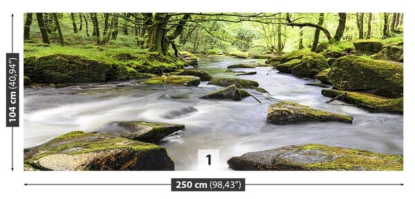 Fototapeta Vliesová Rieka fowey 250x104 cm