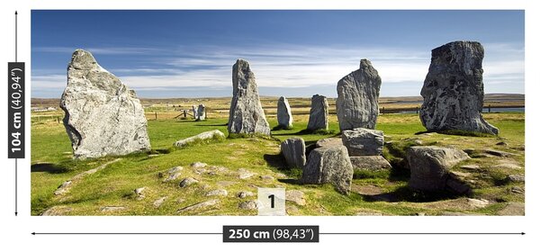 Fototapeta Vliesová Kamenný kruh 250x104 cm