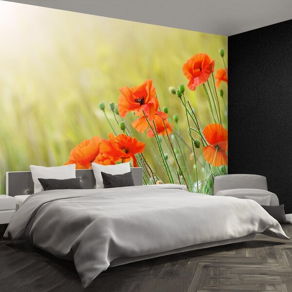 Fototapeta Vliesová Maky 250x104 cm