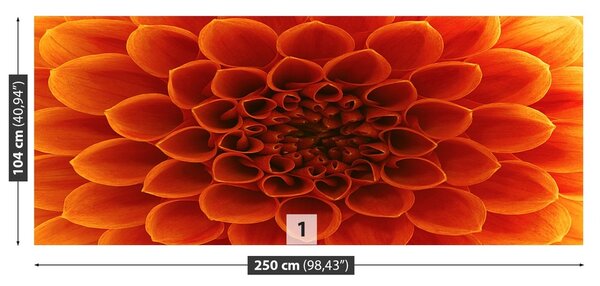 Fototapeta Vliesová Kvetina 250x104 cm