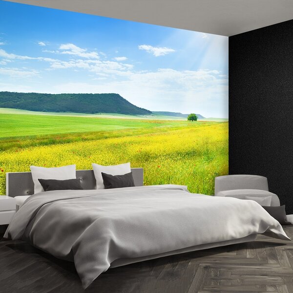 Fototapeta Vliesová Jarná lúka 250x104 cm