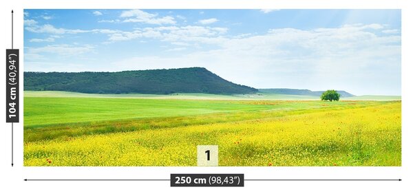 Fototapeta Vliesová Jarná lúka 250x104 cm