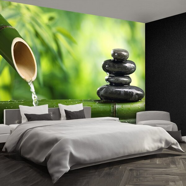 Fototapeta Vliesová Bambusová fontána 250x104 cm