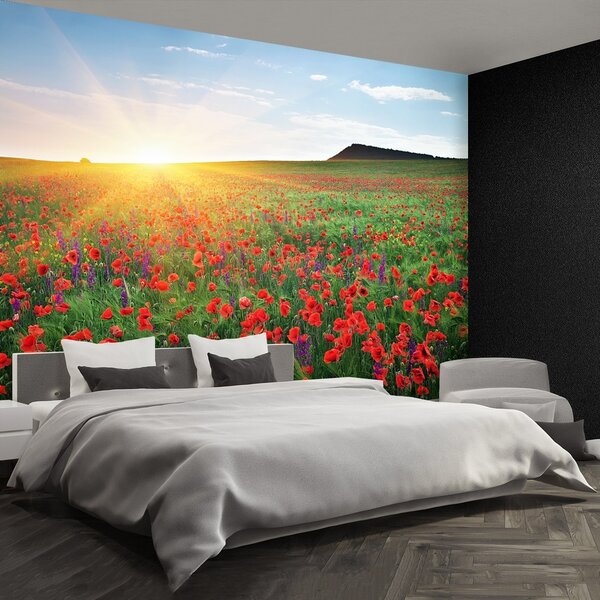 Fototapeta Vliesová Makové polia 250x104 cm