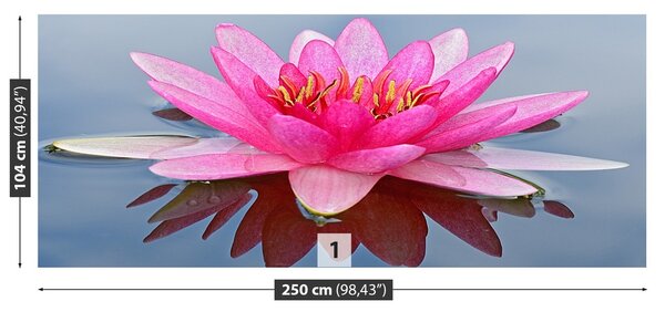 Fototapeta Vliesová Ružový lekno 250x104 cm