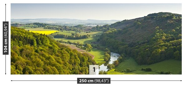 Fototapeta Vliesová Meandrující rieka 250x104 cm