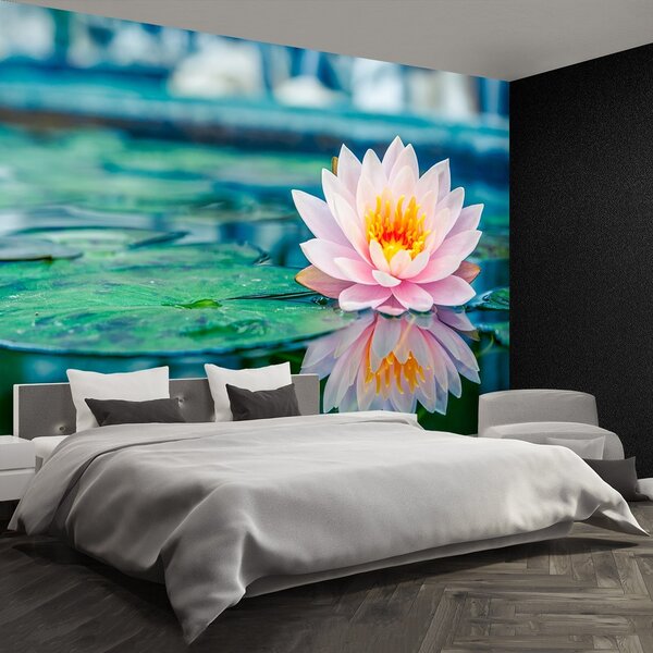 Fototapeta Vliesová Ružový lotos 250x104 cm
