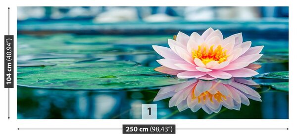 Fototapeta Vliesová Ružový lotos 250x104 cm