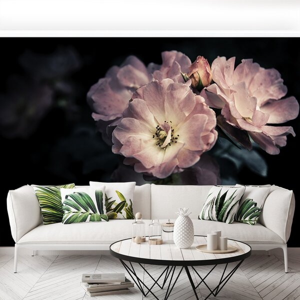 Fototapeta Vliesová Ružová ruža 250x104 cm