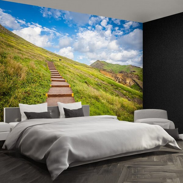 Fototapeta Vliesová Ostrov madeira 250x104 cm