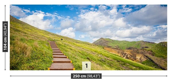 Fototapeta Vliesová Ostrov madeira 250x104 cm