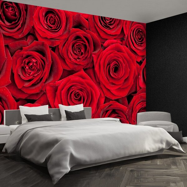 Fototapeta Vliesová Červené ruže 250x104 cm