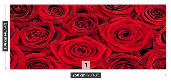 Fototapeta Vliesová Červené ruže 250x104 cm
