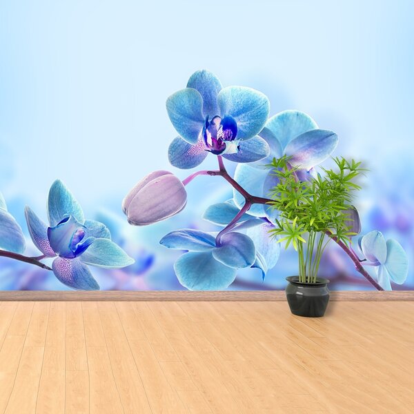 Fototapeta Vliesová Tropické orchidey 250x104 cm